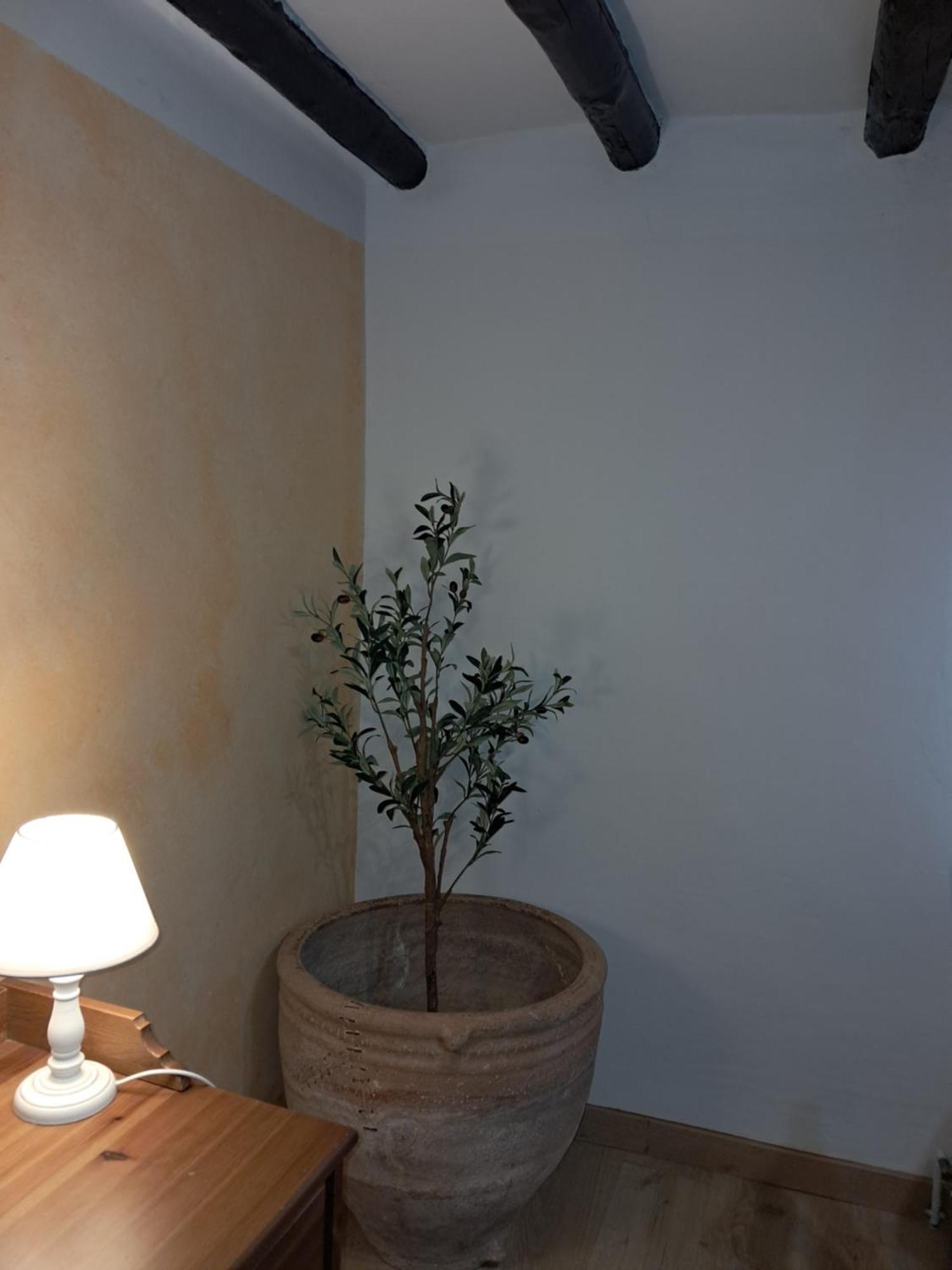 Casa Rural Ruta Del Agua 4 Hab Al Lado Monasterio De Piedra Munébrega Extérieur photo